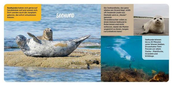Produktbild: Tiere in der Nordsee