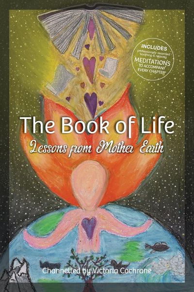 Produktbild: The Book of Life