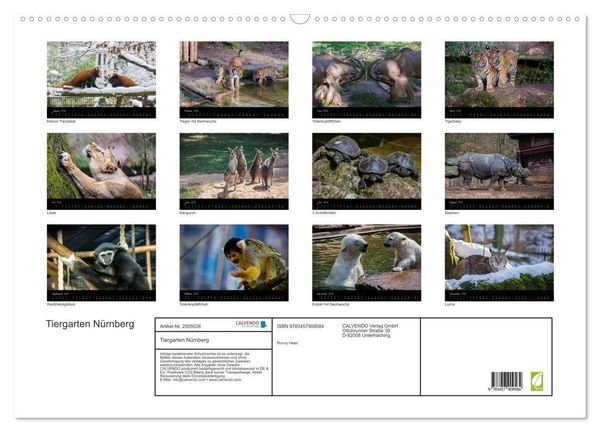 Produktbild: Tiergarten N&uuml;rnberg (Wandkalender 2026 DIN A2 quer), CALVENDO Monatskalender