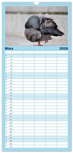 Produktbild: Familienplaner 2026 - Geliebte Tauben mit 5 Spalten (Wandkalender, 21 x 45 cm) CALVENDO