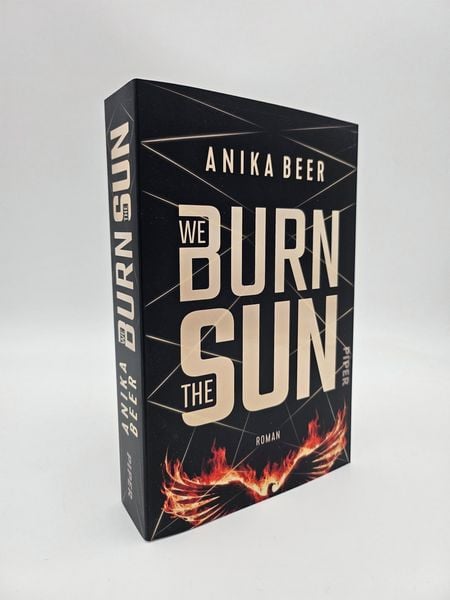 Produktbild: We Burn the Sun