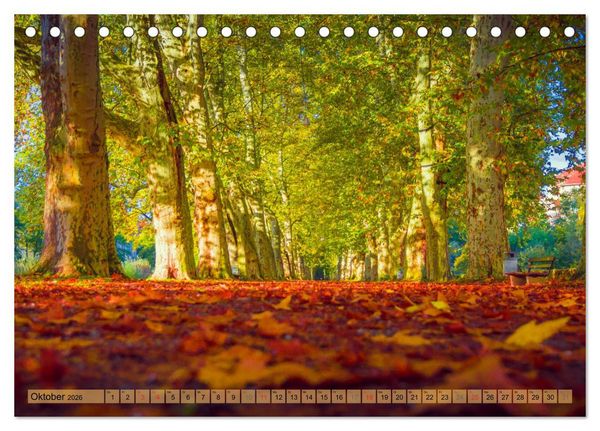Produktbild: T&uuml;bingen - Impressionen aus der Universit&auml;tsstadt (Tischkalender 2026 DIN A5 quer), CALVENDO Monatskalender