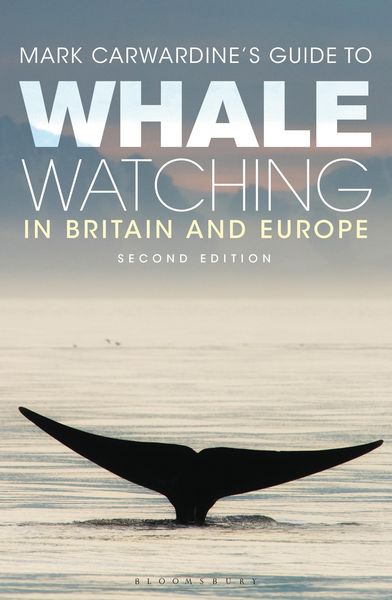Produktbild: MARK CARWARDINES GT WHALE WATC