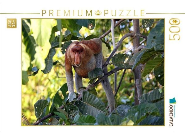CALVENDO Puzzle Nasenaffe, Borneo | 500 Teile Lege-Größe 48 × 36 cm Foto-Puzzle für Erwachsene