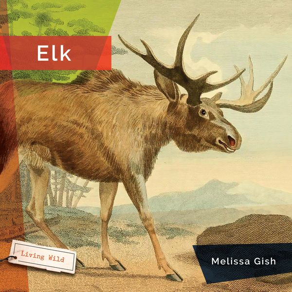 Produktbild: Elk