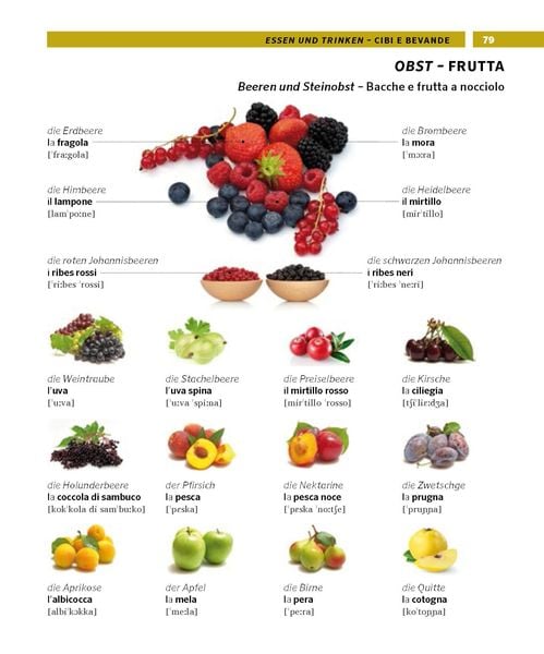 Produktbild: PONS Bildw&ouml;rterbuch Italienisch