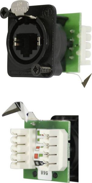 Produktbild: Neutrik NE8FDV-YK-B RJ45 Datensteckverbinder etherCon&reg; D Serie NE8FDV-YK-B Buchse, gerade NE8FDV-YK-B Pole: 8P8C Schwarz 1 St.