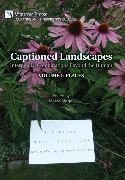 Produktbild: Captioned Landscapes
