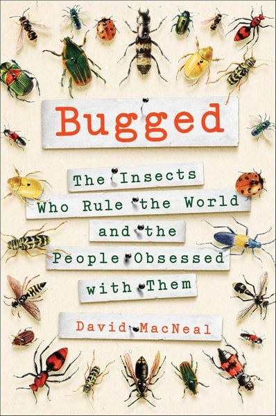 Produktbild: Bugged