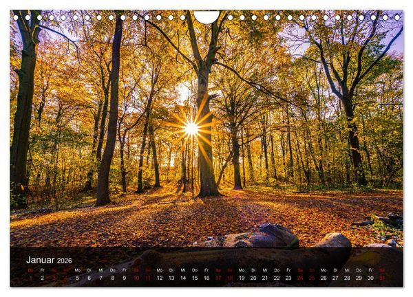 Produktbild: Wundervolle Naturlandschaften (Wandkalender 2026 DIN A4 quer), CALVENDO Monatskalender
