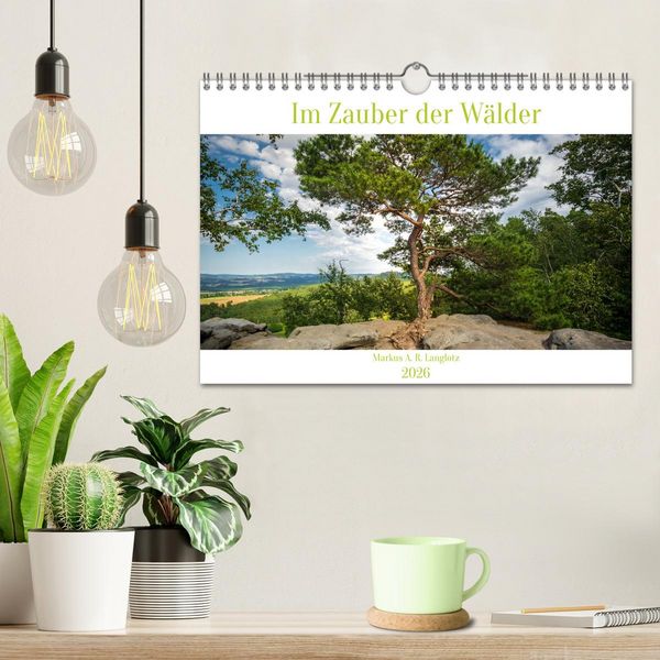 Produktbild: Im Zauber der W&auml;lder (Wandkalender 2026 DIN A4 quer), CALVENDO Monatskalender