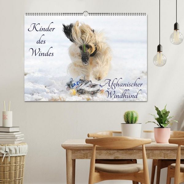 Produktbild: Kinder des Windes - Afghanischer Windhund (Wandkalender 2026 DIN A2 quer), CALVENDO Monatskalender