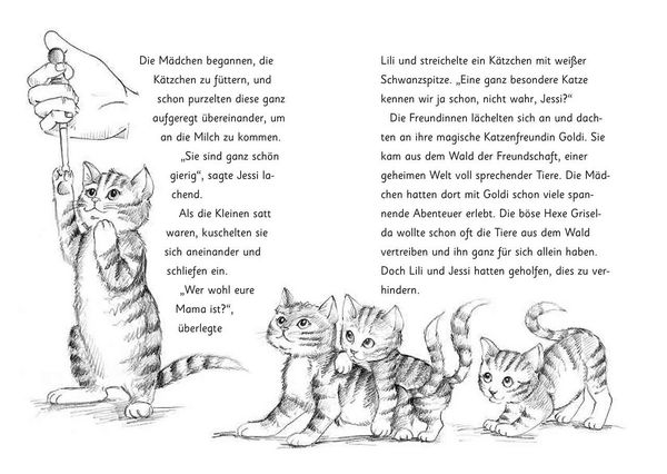 Produktbild: Die magischen Tierfreunde (Band 4) - Susi Samtpfote geht verloren