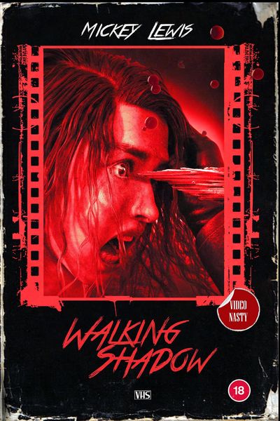 Produktbild: Walking Shadow (A Stone/Darke Mystery, #1)