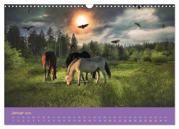 Produktbild: Von der Magie der Pferde (Wandkalender 2026 DIN A3 quer), CALVENDO Monatskalender