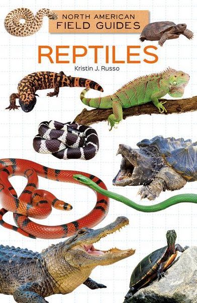 Produktbild: Reptiles