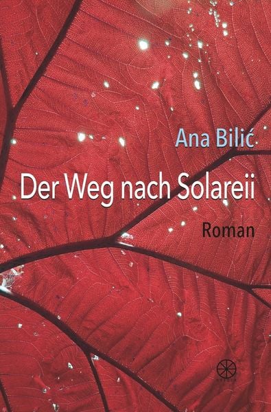 Produktbild: Der Weg nach Solareii
