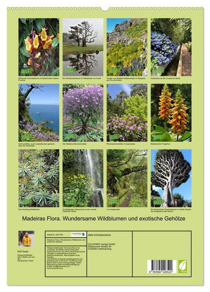Produktbild: Madeiras Flora. Wundersame Wildblumen und exotische Geh&ouml;lze (hochwertiger Premium Wandkalender 2027 DIN A2 hoch), Kunstdruck in Hochglanz