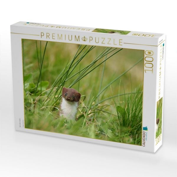 Produktbild: CALVENDO Puzzle Hermelin, Italien | 1000 Teile Lege-Gr&ouml;&szlig;e 64x48cm Foto-Puzzle f&uuml;r gl&uuml;ckliche Stunden