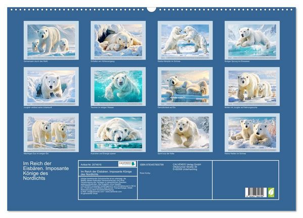 Produktbild: Im Reich der Eisb&auml;ren. Imposante K&ouml;nige des Nordlichts (Wandkalender 2026 DIN A2 quer), CALVENDO Monatskalender