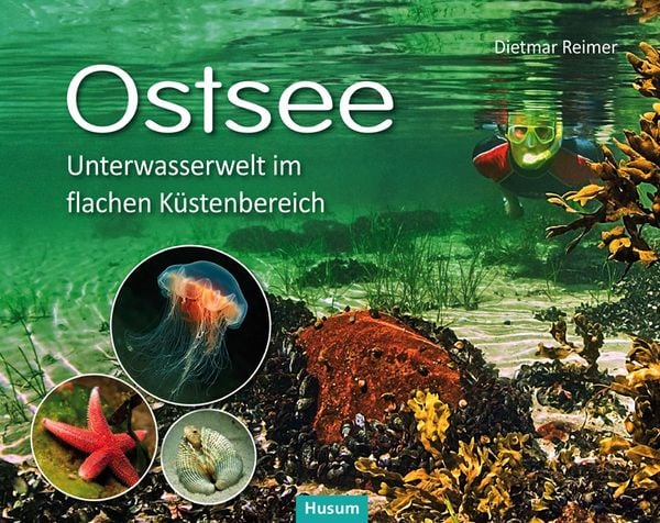 Ostsee, Gebundene Ausgabe von Dietmar Reimer, Husum Druck- und Verlagsgesellschaft, 978-3-89876-659-3