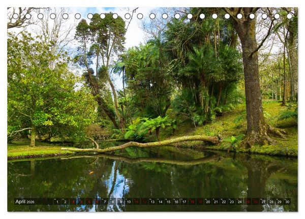 Produktbild: Terra Nostra Garten - ein botanisches Juwel auf den Azoren (Tischkalender 2026 DIN A5 quer), CALVENDO Monatskalender