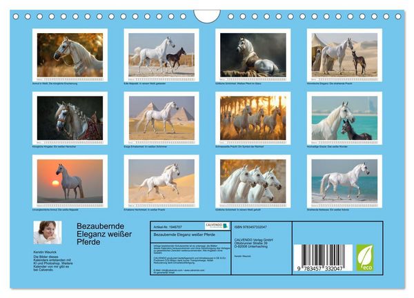 Produktbild: Bezaubernde Eleganz wei&szlig;er Pferde (Wandkalender 2026 DIN A4 quer), CALVENDO Monatskalender
