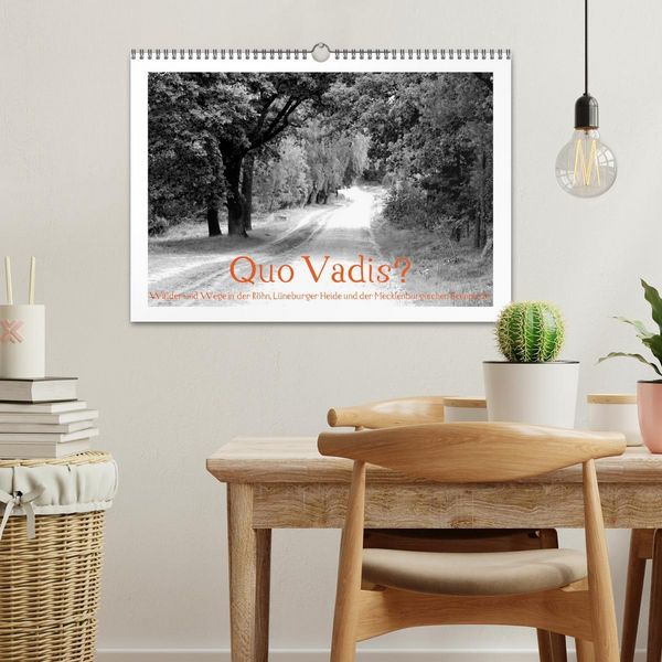 Produktbild: Quo Vadis? W&auml;lder und Wege in der R&ouml;hn, L&uuml;neburger Heide und der Mecklenburgischen Seenplatte (Wandkalender 2026 DIN A3 quer), CALVENDO Monatskalender