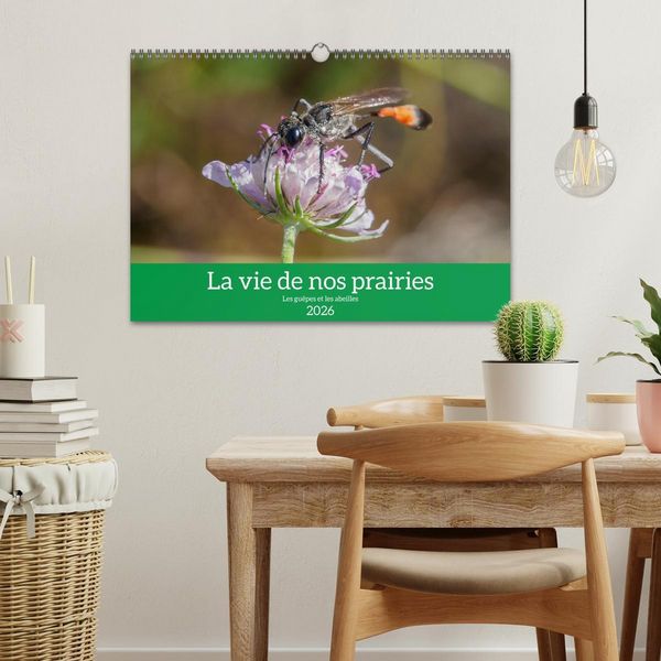 Produktbild: La vie de nos prairies - Les gu&ecirc;pes et les abeilles (Calendrier mural 2026 DIN A3 vertical), CALVENDO calendrier mensuel