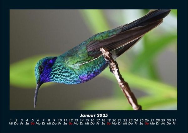 Produktbild: Vogelparadies 2025 Fotokalender DIN A4