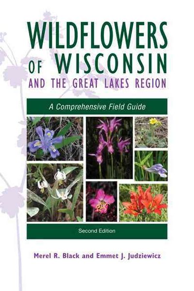 Produktbild: Wildflowers of Wisconsin and the Great Lakes Region
