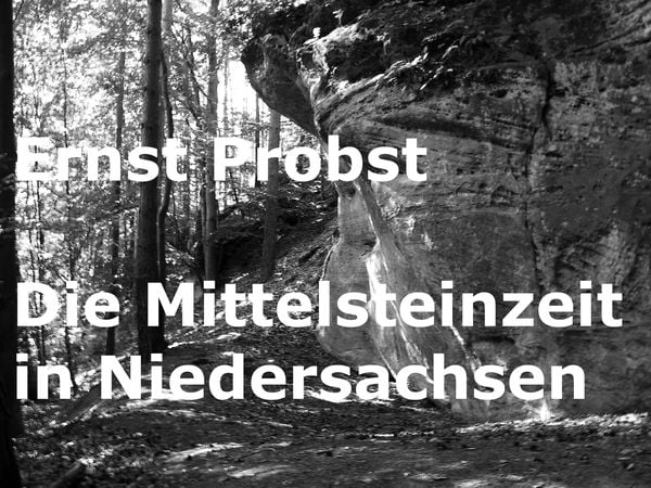 Produktbild: Die Mittelsteinzeit in Niedersachsen