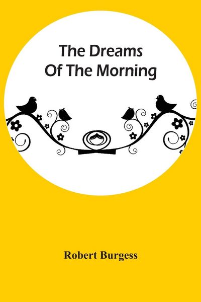 Produktbild: The Dreams Of The Morning
