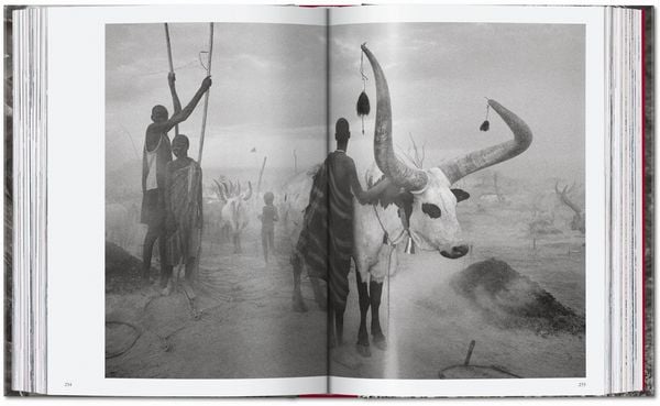 Produktbild: Sebasti&atilde;o Salgado
