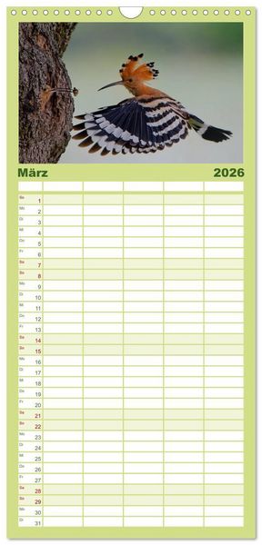 Produktbild: Familienplaner 2026 - Wiedehopf mit 5 Spalten (Wandkalender, 21 x 45 cm) CALVENDO