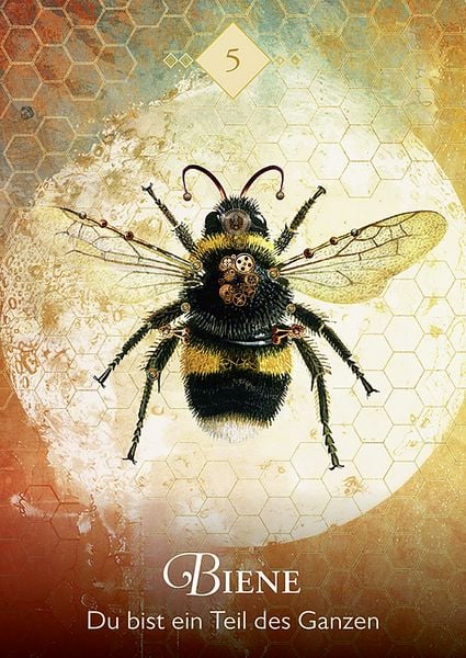 Produktbild: Das Orakel der Krafttiere