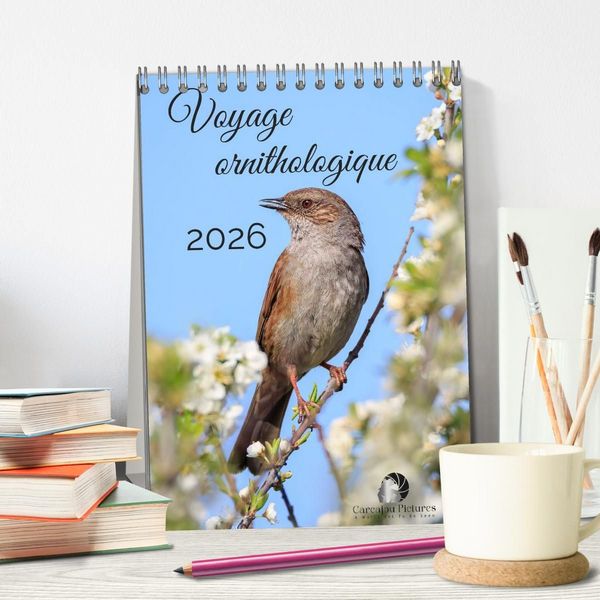 Produktbild: Voyage ornithologique (Calendrier de bureau 2027 DIN A5 horizontal), CALVENDO calendrier mensuel