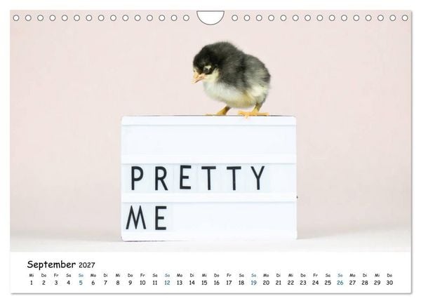Produktbild: Tierkinder ganz frech (Wandkalender 2027 DIN A4 quer), CALVENDO Monatskalender