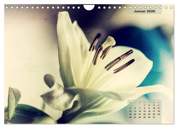 Produktbild: Bl&uuml;ten im Retro-Style (Wandkalender 2026 DIN A4 quer), CALVENDO Monatskalender
