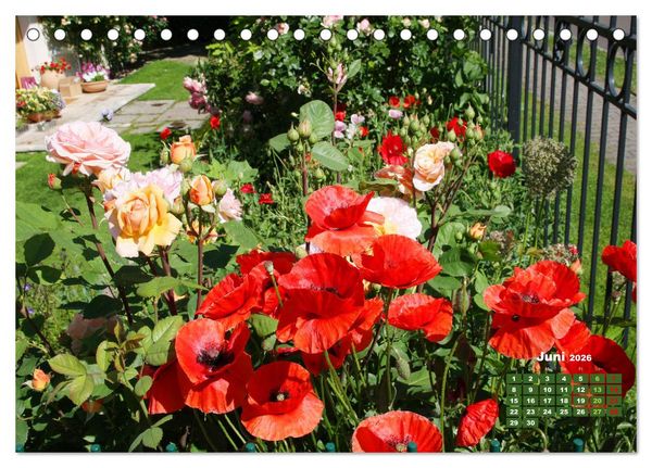 Produktbild: Urlaub im Garten (Tischkalender 2026 DIN A5 quer), CALVENDO Monatskalender