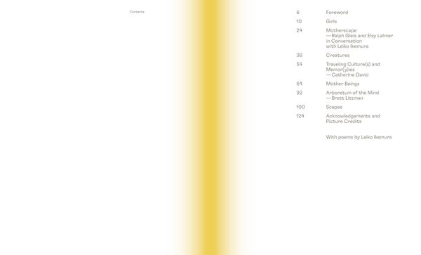 Produktbild: Leiko Ikemura. Motherscape