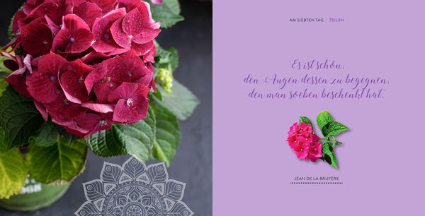 Produktbild: Sieben Tage Harmonie