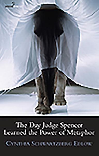 Produktbild: Day Judge Spencer Learned The