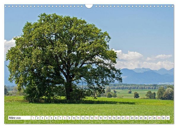 Produktbild: Chiemsee - Sommerferien am bayrischen Meer (Wandkalender 2026 DIN A3 quer), CALVENDO Monatskalender
