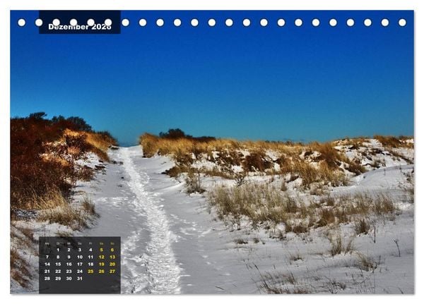 Produktbild: Texel Insel mit Charakter (Tischkalender 2026 DIN A5 quer), CALVENDO Monatskalender