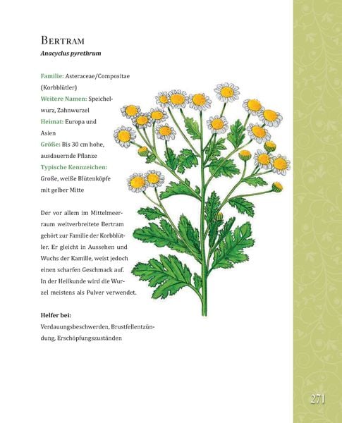 Produktbild: Das gro&szlig;e Buch der Hildegard von Bingen