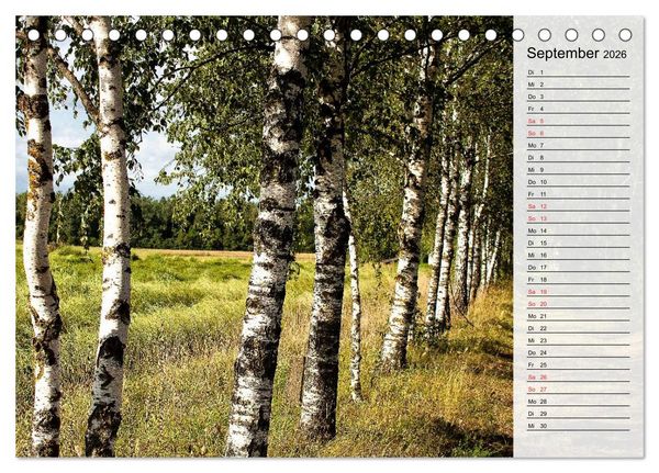 Produktbild: Litauen - Streifz&uuml;ge durch die junge Ostseerepublik (Tischkalender 2026 DIN A5 quer), CALVENDO Monatskalender