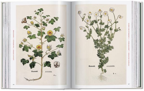 Produktbild: Leonhart Fuchs