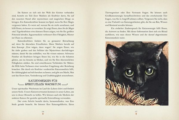 Produktbild: Katzenmagie
