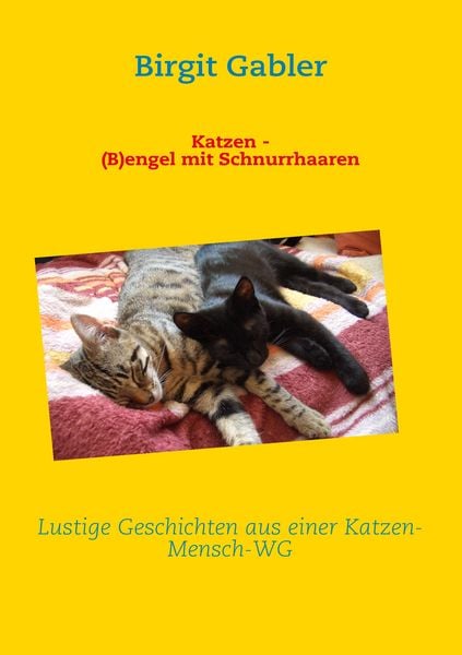 Produktbild: Katzen - (B)engel mit Schnurrhaaren